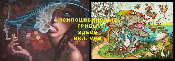 прущая мука Арсеньев