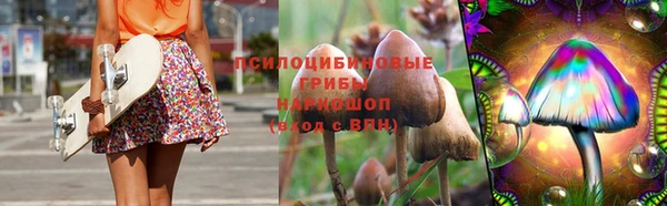 крисы Аркадак
