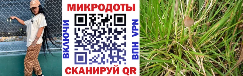 blacksprut онион  Сковородино  Псилоцибиновые грибы Magic Shrooms 